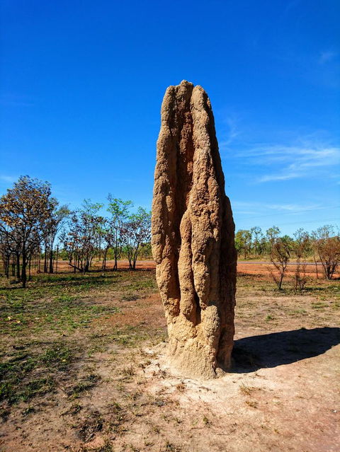 Litchfield And Jumping Crocodiles Full Day Trip From Darwin - Accommodation Mount Tamborine 4