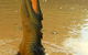 Litchfield And Jumping Crocodiles Full Day Trip From Darwin - thumb 7