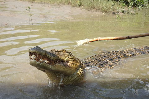 Litchfield And Jumping Crocodiles Full Day Trip From Darwin - Accommodation Mount Tamborine 17