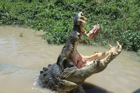 Litchfield And Jumping Crocodiles Full Day Trip From Darwin - Accommodation Mount Tamborine 18