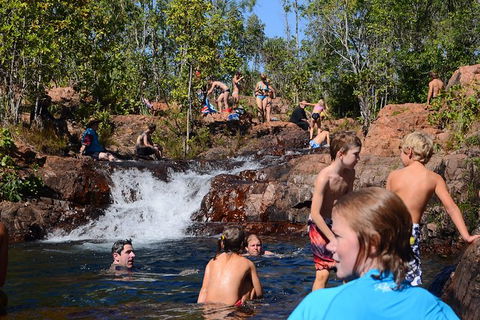 Litchfield And Jumping Crocodiles Full Day Trip From Darwin - Accommodation Mount Tamborine 10