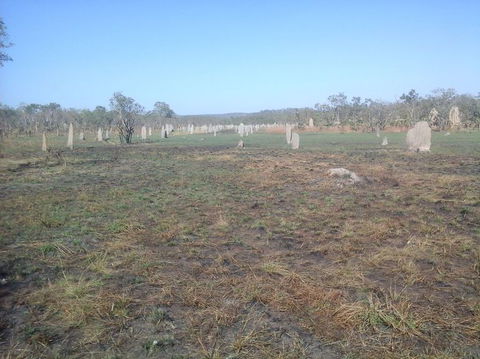 Litchfield National Park Day Tour From Darwin - Accommodation Mount Tamborine 13