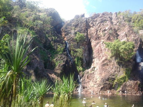 Litchfield National Park Day Tour From Darwin - Accommodation Mount Tamborine 7