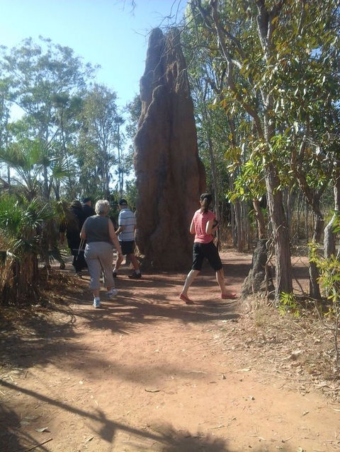Litchfield National Park Day Tour From Darwin - Accommodation Mount Tamborine 14