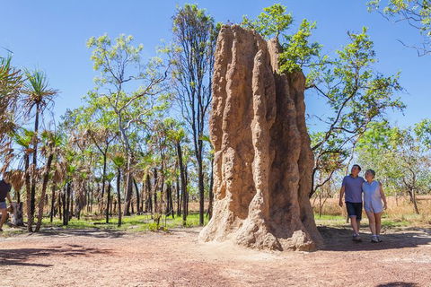 Litchfield National Park Day Tour From Darwin - Accommodation Mount Tamborine 22