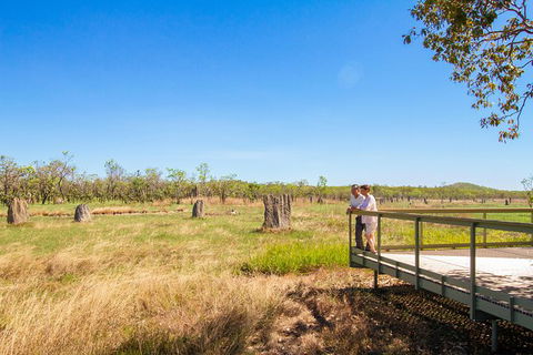 Litchfield National Park Day Tour From Darwin - Accommodation Mount Tamborine 18