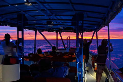 Darwin Sunset Cruise, Including Fish \'n\' Chips - Accommodation Mount Tamborine 9