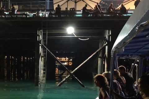 Darwin Sunset Cruise, Including Fish \'n\' Chips - Accommodation Mount Tamborine 8