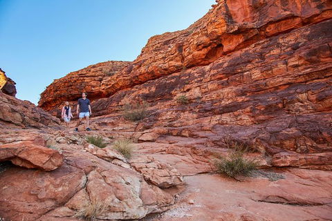 Kings Canyon Guided Rim Walk - Accommodation Mount Tamborine 4