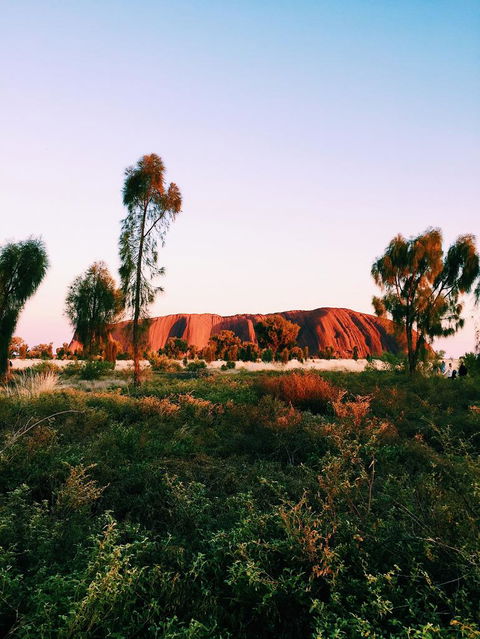 Uluru & Kata Tjuta Sights & Sounds - Accommodation Mount Tamborine 3