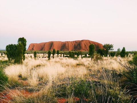Uluru & Kata Tjuta Sights & Sounds - Accommodation Mount Tamborine 4