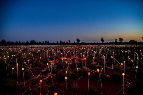 Uluru & Kata Tjuta Sights & Sounds - Accommodation Mount Tamborine 8