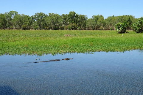 Darwin To Kakadu Day Trip By Air Including Yellow Water Cruise - Accommodation Mount Tamborine 8
