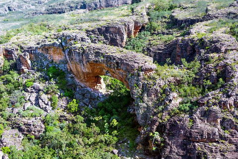 Darwin To Kakadu Day Trip By Air Including Yellow Water Cruise - Accommodation Mount Tamborine 13