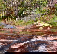 Litchfield National Park Day Tour from Darwin With Waterfalls And Buley Rockhole