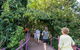 Walk The Darwin Botanic Gardens - thumb 1