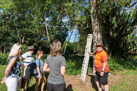 Walk The Darwin Botanic Gardens - Accommodation Mount Tamborine 7