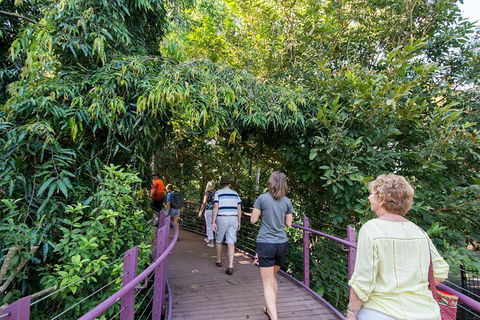 Walk The Darwin Botanic Gardens - Accommodation Mount Tamborine 3