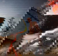 Darwin Combo The Bombing of Darwin Experience  Darwin Harbour Cruise