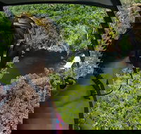 Litchfield Private Waterfall Getaway