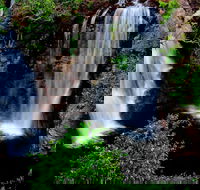 Litchfield Dreams 1 Day National Park Waterfall Swimming  Jumping Croc Cruise