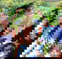 1030am Safari Cruise 1.5 Hours