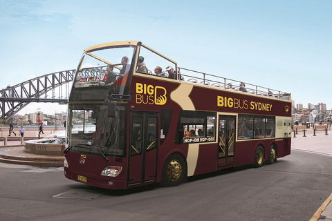 Big Bus Sydney And Bondi Hop-on Hop-off Tour - Accommodation Mount Tamborine 0