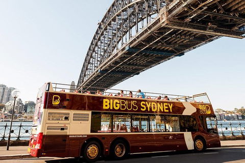 Big Bus Sydney And Bondi Hop-on Hop-off Tour - Accommodation Mount Tamborine 26