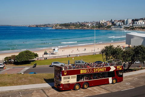 Big Bus Sydney And Bondi Hop-on Hop-off Tour - Accommodation Mount Tamborine 33
