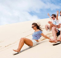 Port Stephens Day Tour with Dolphin Watching Sandboarding  Australian Wildlife - Accommodation Mount Tamborine