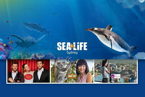 Sydney Attractions Pass: SEA LIFE Aquarium, Sydney Tower Eye, WILD LIFE Zoo And Madame Tussauds - Accommodation Mount Tamborine 0