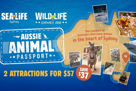 Sydney Attractions Pass: SEA LIFE Aquarium, Sydney Tower Eye, WILD LIFE Zoo And Madame Tussauds - Accommodation Mount Tamborine 4
