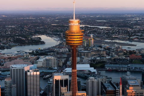 Sydney Attractions Pass: SEA LIFE Aquarium, Sydney Tower Eye, WILD LIFE Zoo And Madame Tussauds - Accommodation Mount Tamborine 8