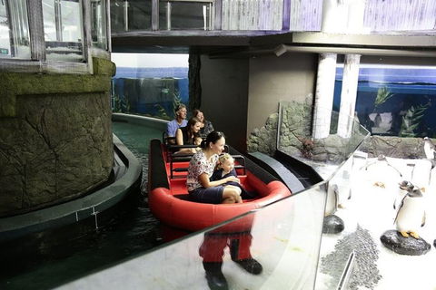 Sydney Attractions Pass: SEA LIFE Aquarium, Sydney Tower Eye, WILD LIFE Zoo And Madame Tussauds - Accommodation Mount Tamborine 6