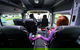 Sydney Airport Arrival Transfer (Airport To Sydney Central Business District) - thumb 5