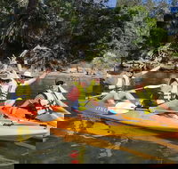 Paddle in Paradise - 4 hours Double Kayak Hire - Accommodation Mount Tamborine