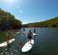 Basin Stand Up Paddle Boarding SUP Safari - Accommodation Mount Tamborine