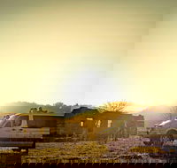 Wild Australian Wildlife 4WD Tour from Sydney - Accommodation Mount Tamborine