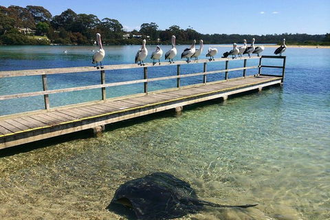 The Eurobodalla Experience (Full Day Private Tour Including Lunch) - Accommodation Mount Tamborine 0