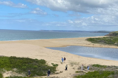 The Eurobodalla Experience (Full Day Private Tour Including Lunch) - Accommodation Mount Tamborine 19