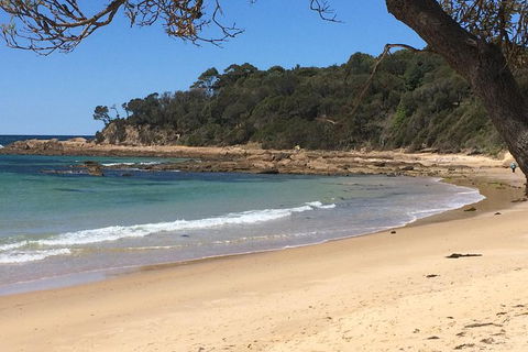 The Eurobodalla Experience (Full Day Private Tour Including Lunch) - Accommodation Mount Tamborine 13