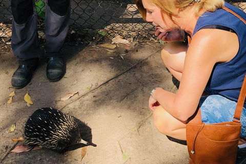 The Eurobodalla Experience (Full Day Private Tour Including Lunch) - Accommodation Mount Tamborine 18