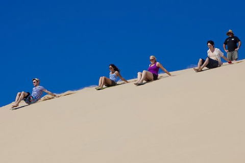 Port Stephens Day Tour From Sydney Including 4WD, Sandboarding And Dolphins - Accommodation Mount Tamborine 1