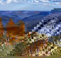 Blue Mountains Day Tour Including Three Sisters Scenic World and Wildlife Park - Accommodation Mount Tamborine