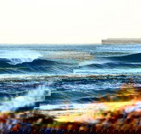 7-Day Byron Bay Evans Head and Moonee Beach Surf Safari from Brisbane Gold Coast or Byron Bay - Accommodation Mount Tamborine