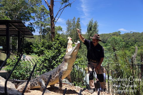 Private Shoalhaven Zoo Experience From Sydney - Accommodation Mount Tamborine 0