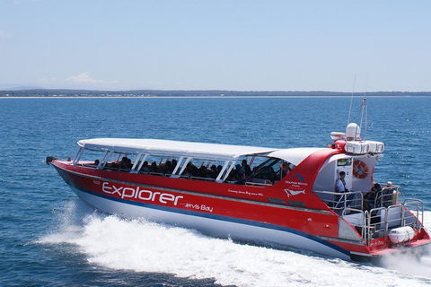 Whale Watching Jervis Bay - Accommodation Mount Tamborine 1