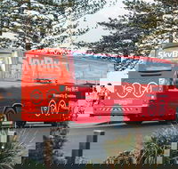 SkyBus Byron Bay Express - Accommodation Mount Tamborine