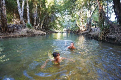 14 Day Dinos, Crocs And Gold - Accommodation Mount Tamborine 6