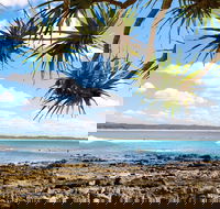 Arrawarra-Corindi Beach - Accommodation Mount Tamborine